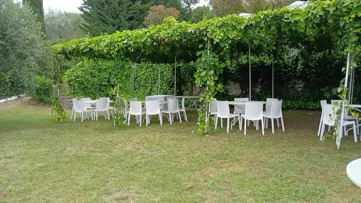 Pergolato di foglie di vite verde con tavoli e sedie bianche disposti sotto, prato e siepe sullo sfondo.